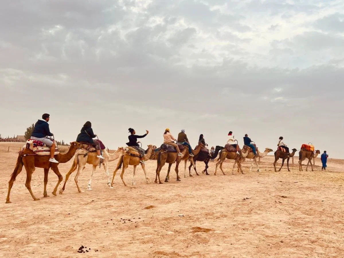 A long line of tourists riding camels across the Agafay Desert with a guide walking alongside